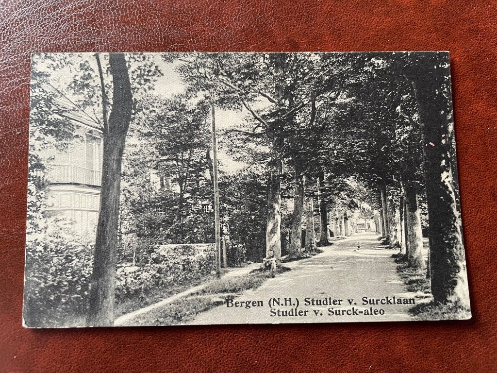 ansichtkaart van Bergen N.H. ; Studler van Surcklaan., Verzamelen, Verzenden, 1920 tot 1940, Noord-Holland