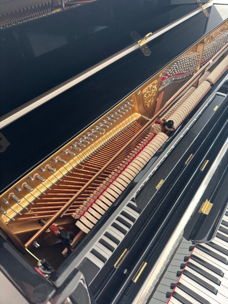 Foto 9 van Wilh. Steinberg P118 (piano zwart hoogglans)