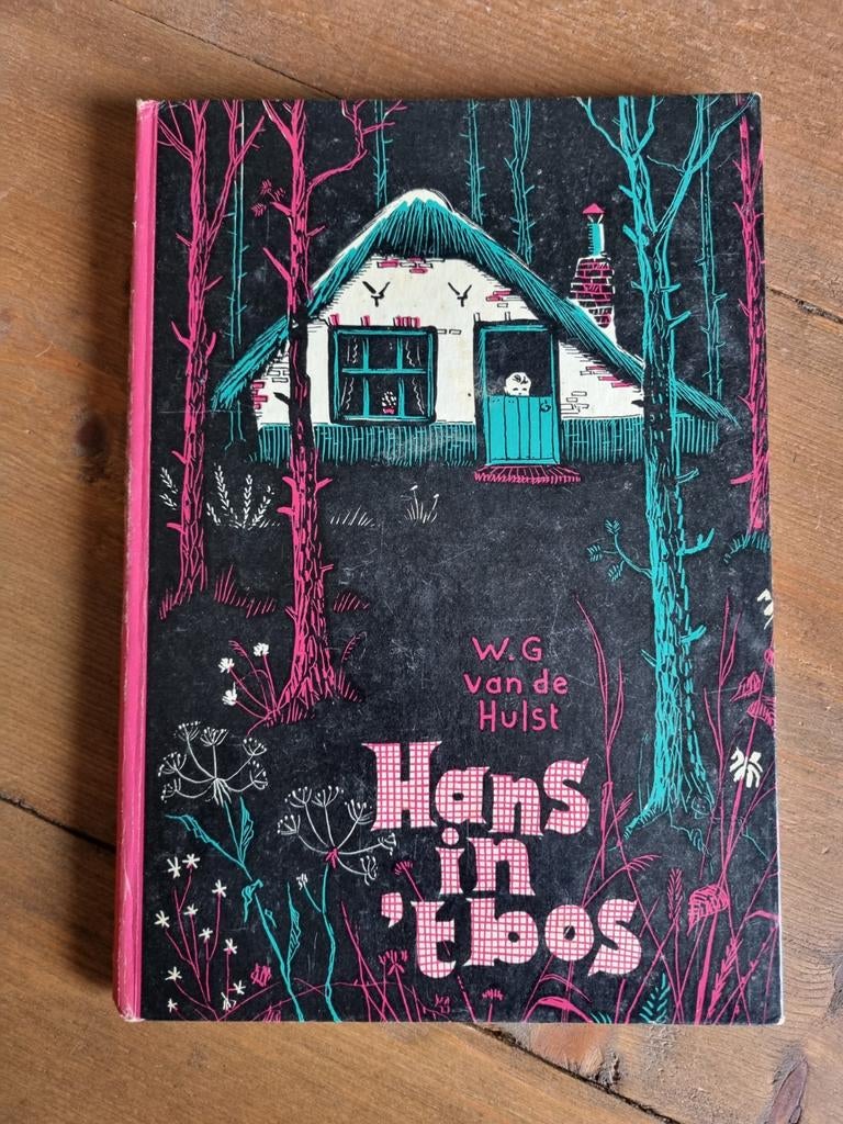 Hans in 't Bos - W.G. van de Hulst (Vintage Kinderboek), Ophalen of Verzenden, Gelezen, W.G. van de Hulst, Fictie algemeen