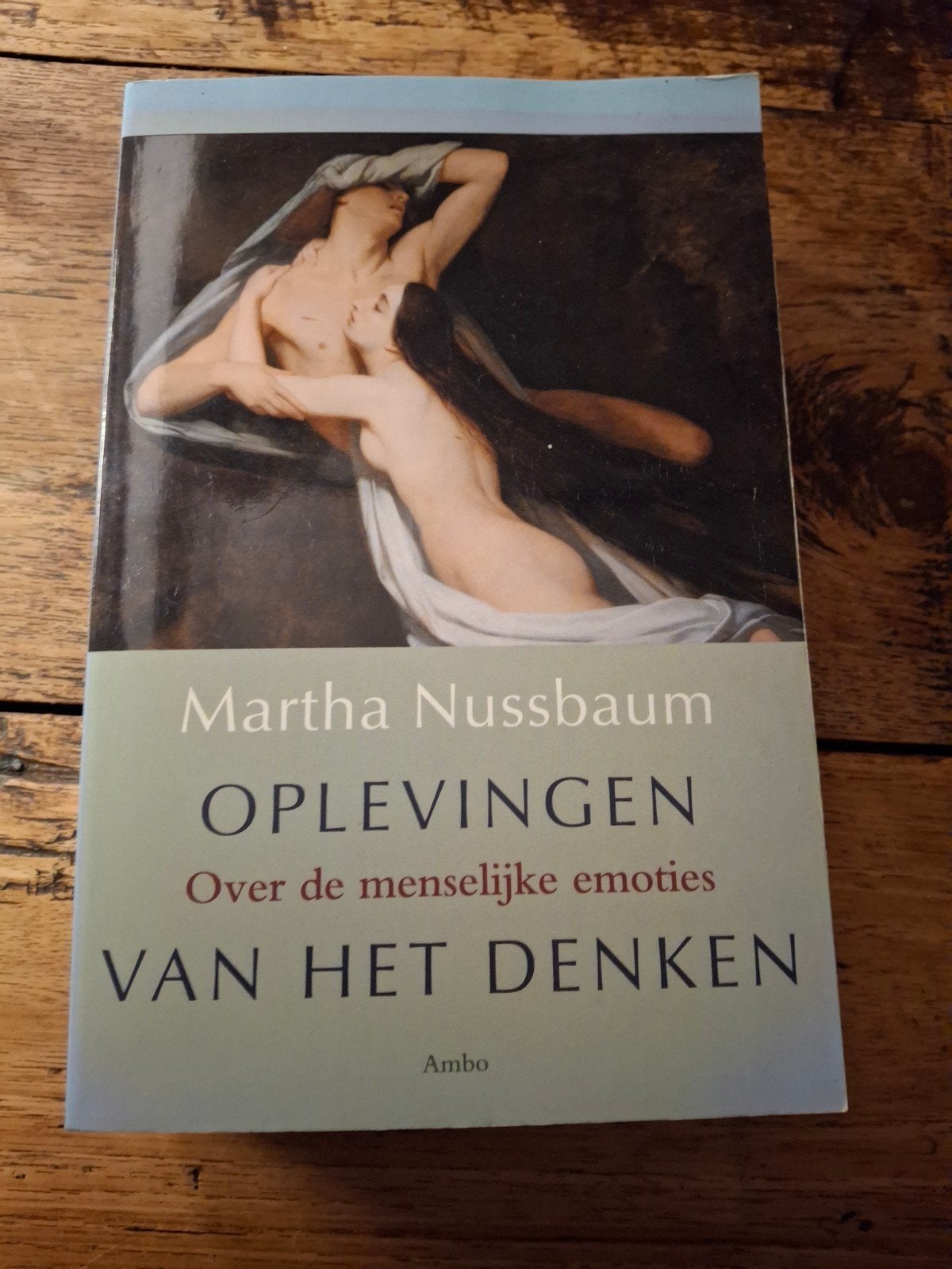 Martha Nussbaum - Oplevingen van het denken, Boeken, Gelezen, Martha Nussbaum, Ophalen of Verzenden, Cultuurfilosofie