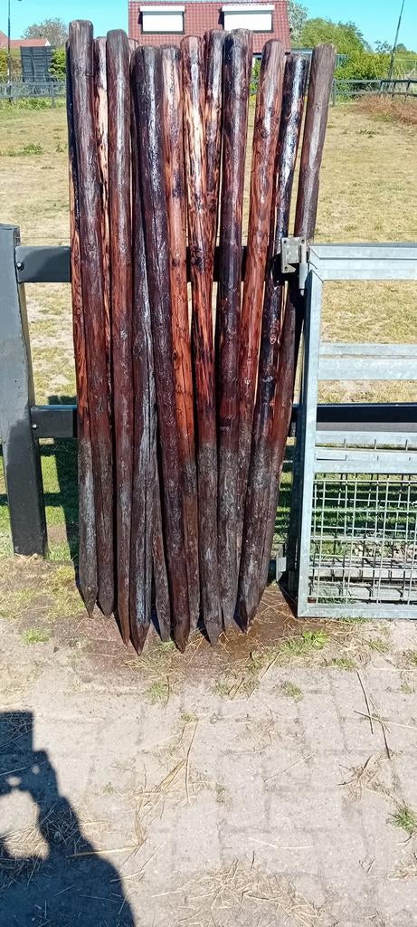 Creoleen palen 1,85m lang, Tuin en Terras, Palen, Balken en Planken, Ophalen, Gebruikt, 180 tot 250 cm, Palen