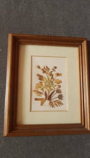 Schilderij Edelweiss, Bloemen, Overige technieken, Ophalen of Verzenden, Vintage