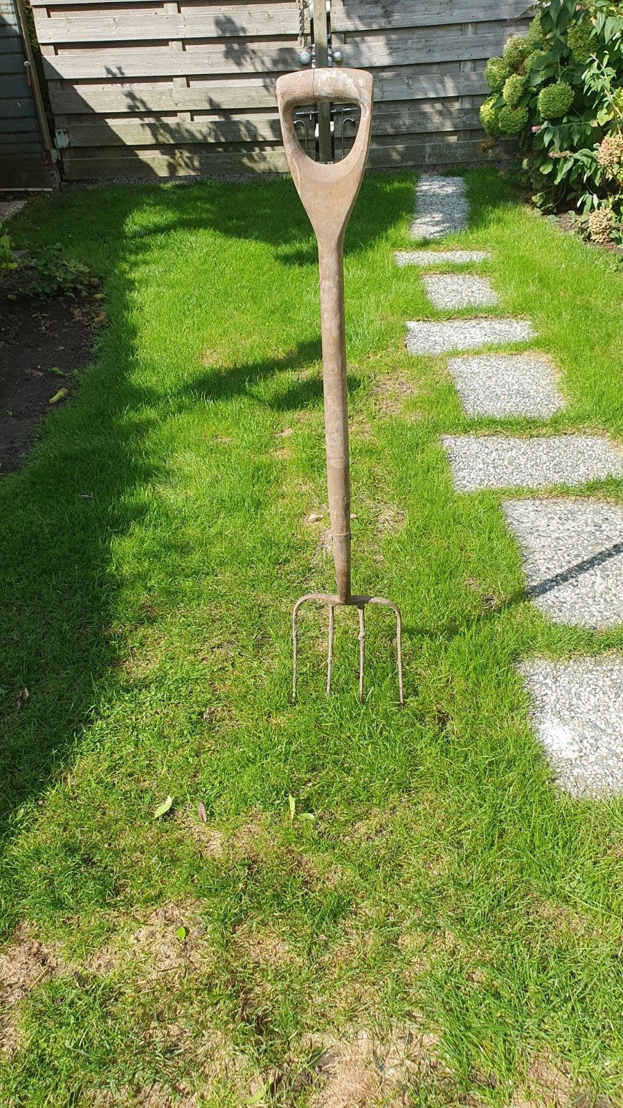Riek, Ophalen of Verzenden, Nieuw, Overige soorten