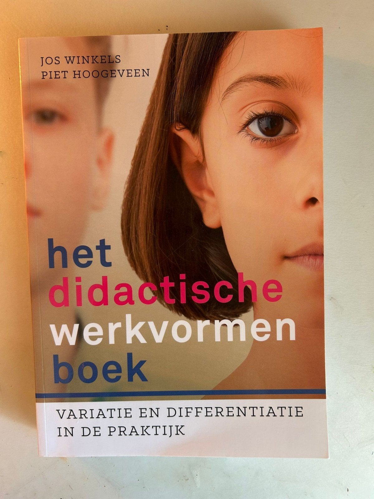 Piet Hoogeveen - Het didactische werkvormenboek, Ophalen of Verzenden, Zo goed als nieuw, Piet Hoogeveen; Jos Winkels, Nederlands