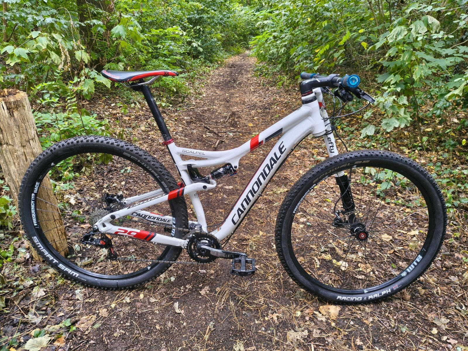 Cannondale Scalpel 29er Full suspension MTB met Lefty, 45 tot 49 cm, Zo goed als nieuw, Schijfrem, Ophalen