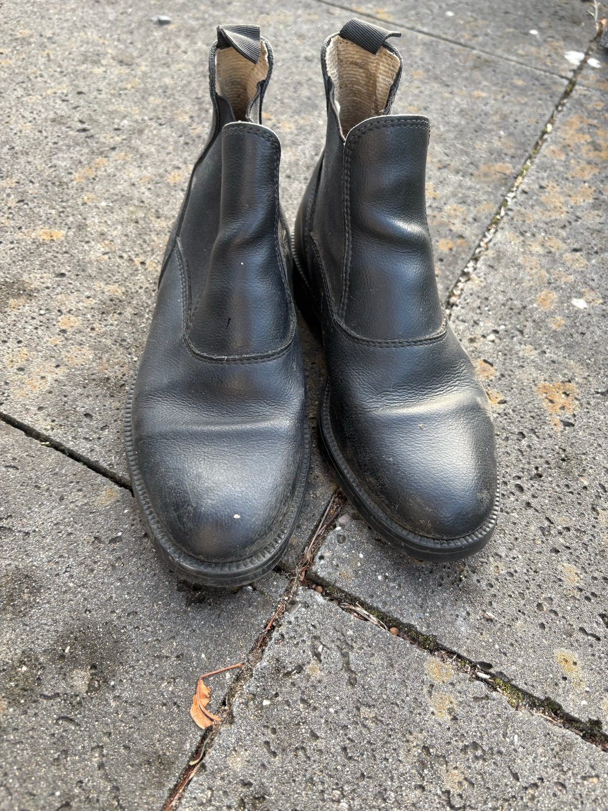 Jodhpurs- Maat 36, Dieren en Toebehoren, Paardrijkleding, Ophalen of Verzenden, Gebruikt
