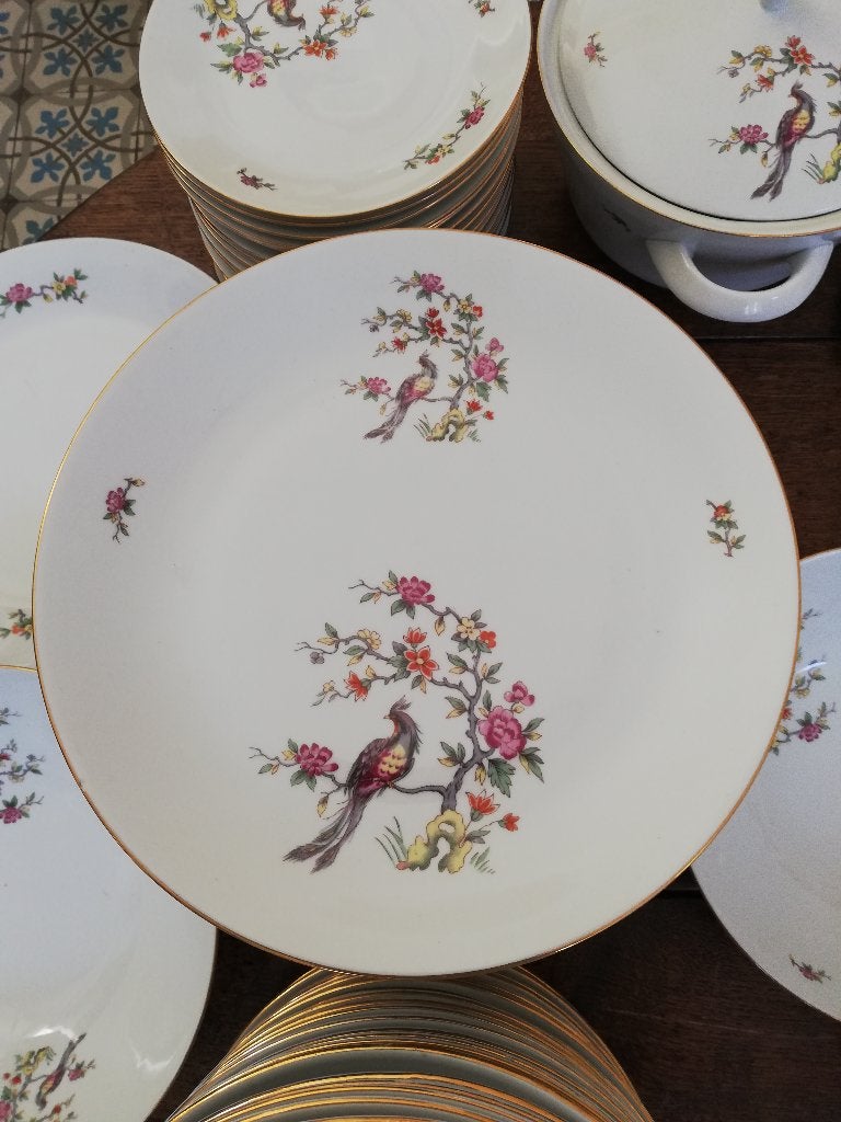 18 pers servies paradijsvogel Vintage VEEL BORDEN