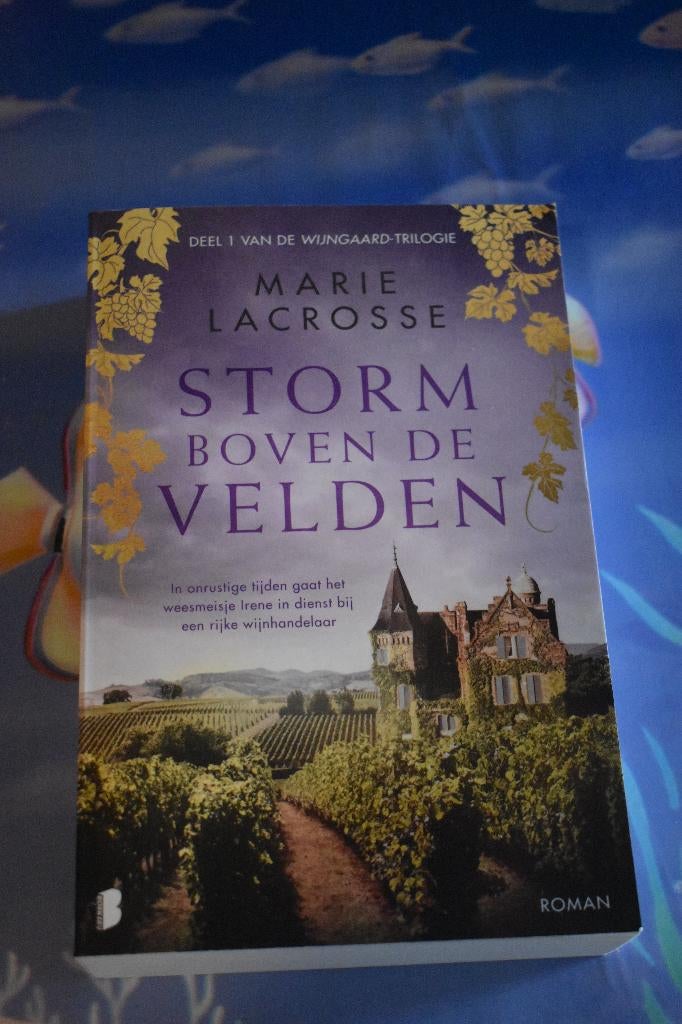 2 boeken van Marie Lacrosse/storm boven de velden+donkere na, Boeken, Romans, Ophalen of Verzenden, Zo goed als nieuw, Marie Lacrosse