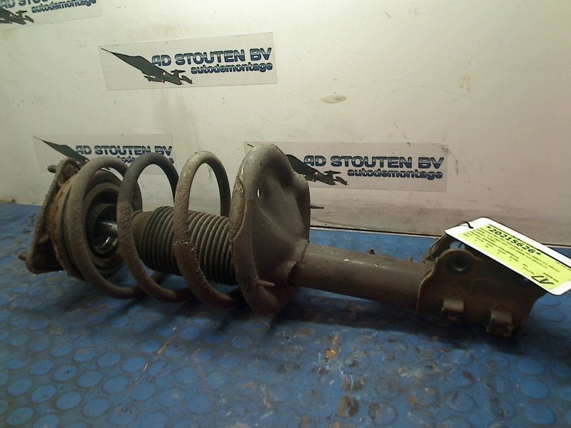 Veerpoot Links Voor Hyundai i30 (FD) (2007-10/2011-11), Hyundai Motor Deutschland GmbH, Gebruikt, Hyundai, Kaiserleipromenade 5, Offenbach am Main 63067, , Duitsland