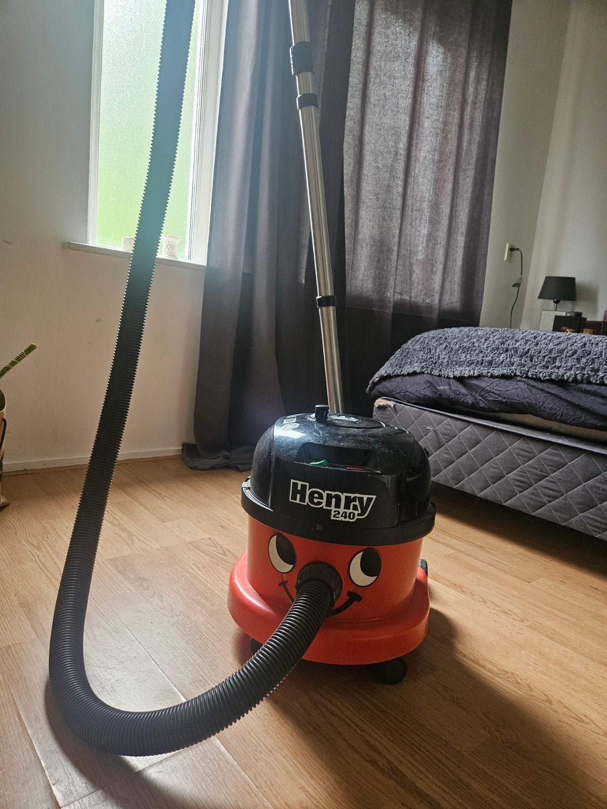 Henry 240 stofzuiger Zuinig en krachtig, Ophalen, Numatic, Zo goed als nieuw, Sledestofzuiger