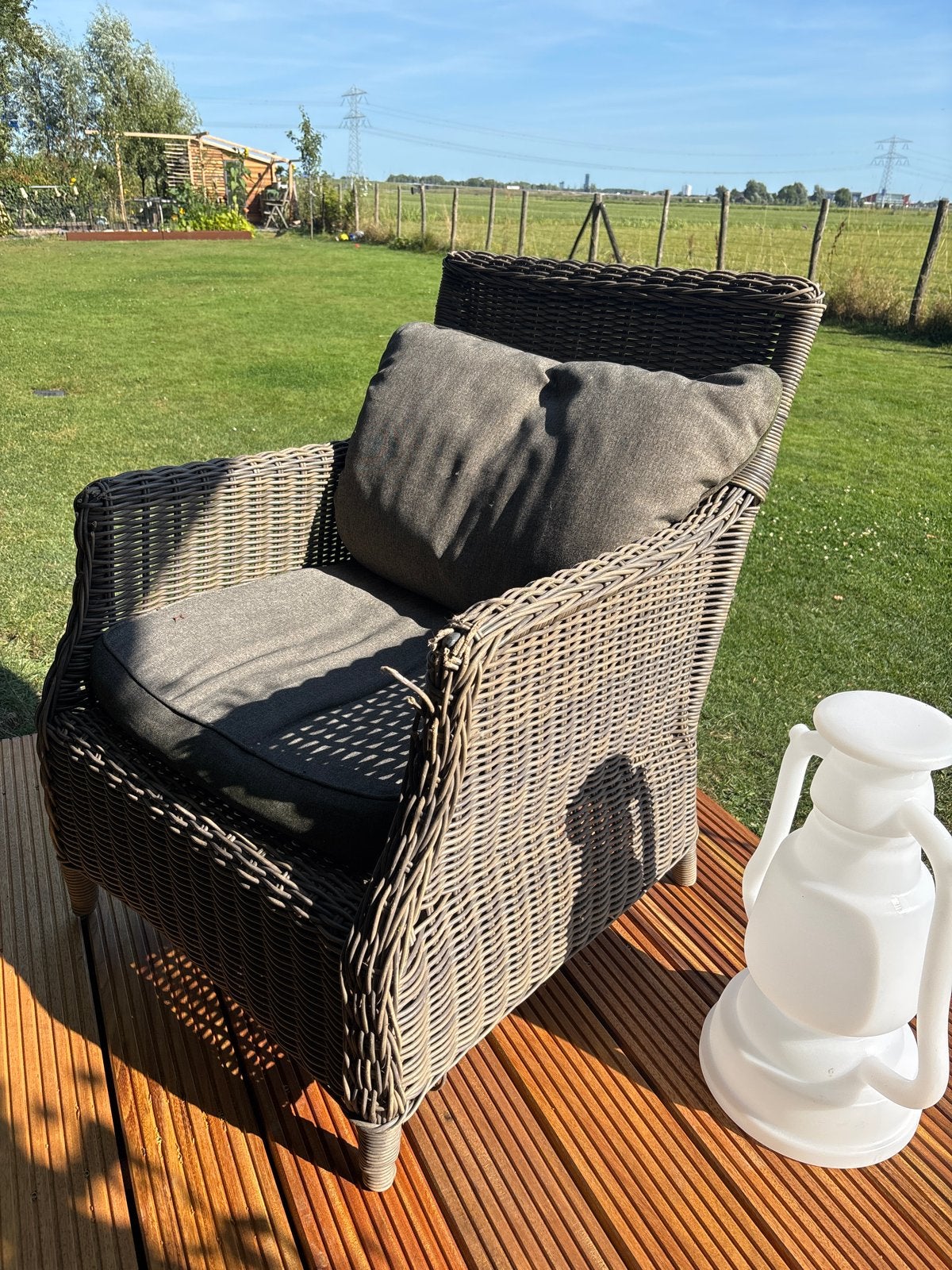 Wicker Tuinstoel Pure Collection met Kussens, Ophalen, Gebruikt, Wicker