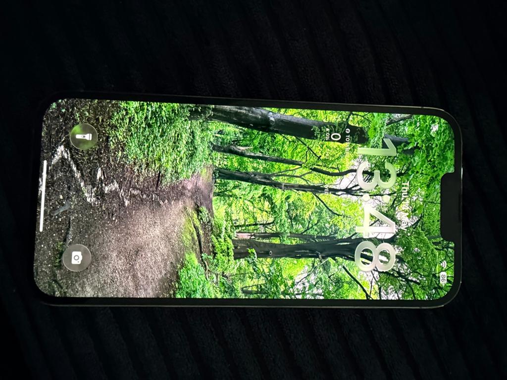 Apple iPhone 13 Pro Max, Telecommunicatie, Mobiele telefoons | Apple iPhone, Blauw, 78 %, Ophalen, 256 GB