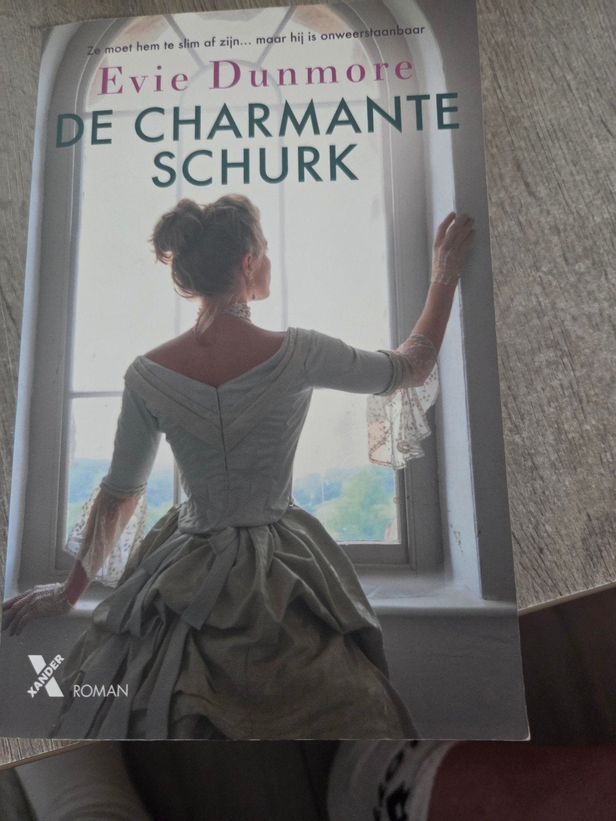 De Charmante Schurk - Evie Dunmore (Roman), Boeken, Ophalen of Verzenden, Gelezen, Evie Dunmore, Nederland