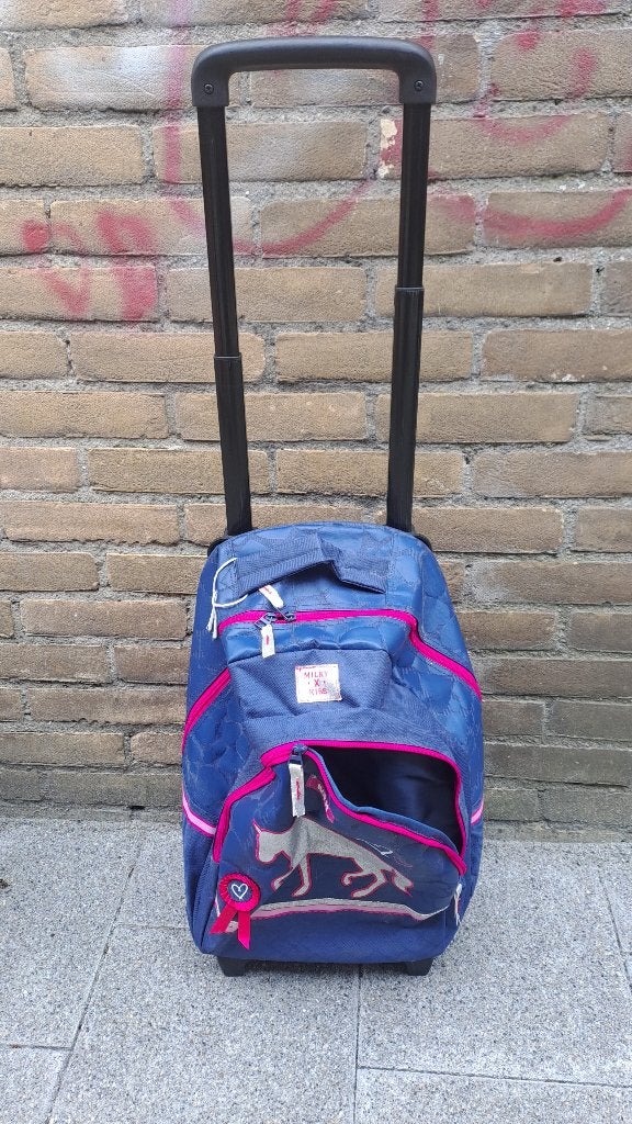 Rugzak rolkoffer 2 stuks, Ophalen, Wieltjes, Minder dan 50 cm, Zo goed als nieuw