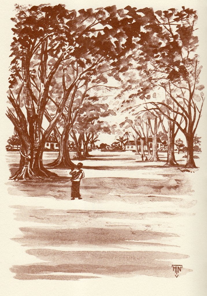 Brandt, Willem - De Keerkringvogel (1980), Ophalen of Verzenden, Nieuw