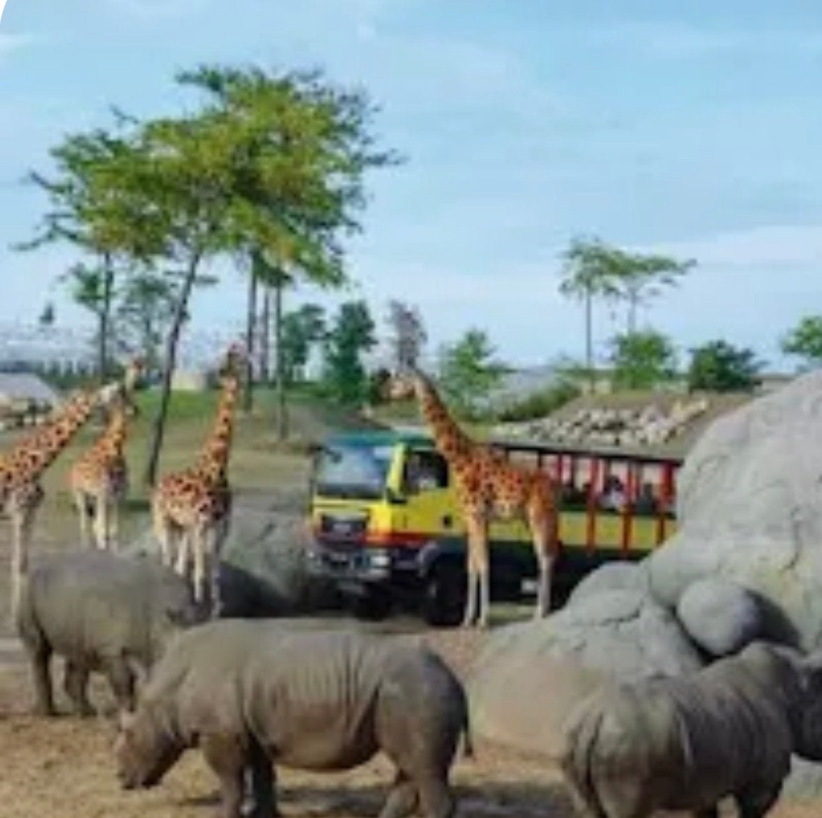 2 kaartjes Wildlands emmen, Drie personen of meer, Ticket of Toegangskaart