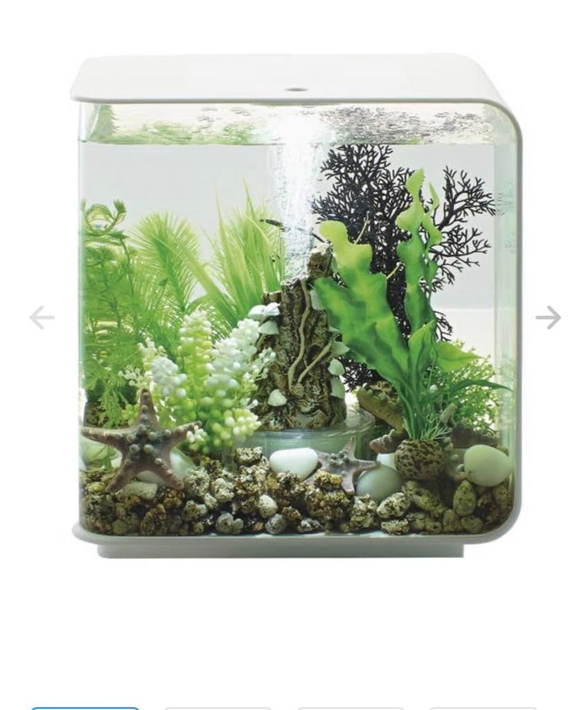 Biorb flow aquarium wit 15 L, Dieren en Toebehoren, Vissen | Aquaria en Toebehoren, Ophalen, Gebruikt, Leeg aquarium