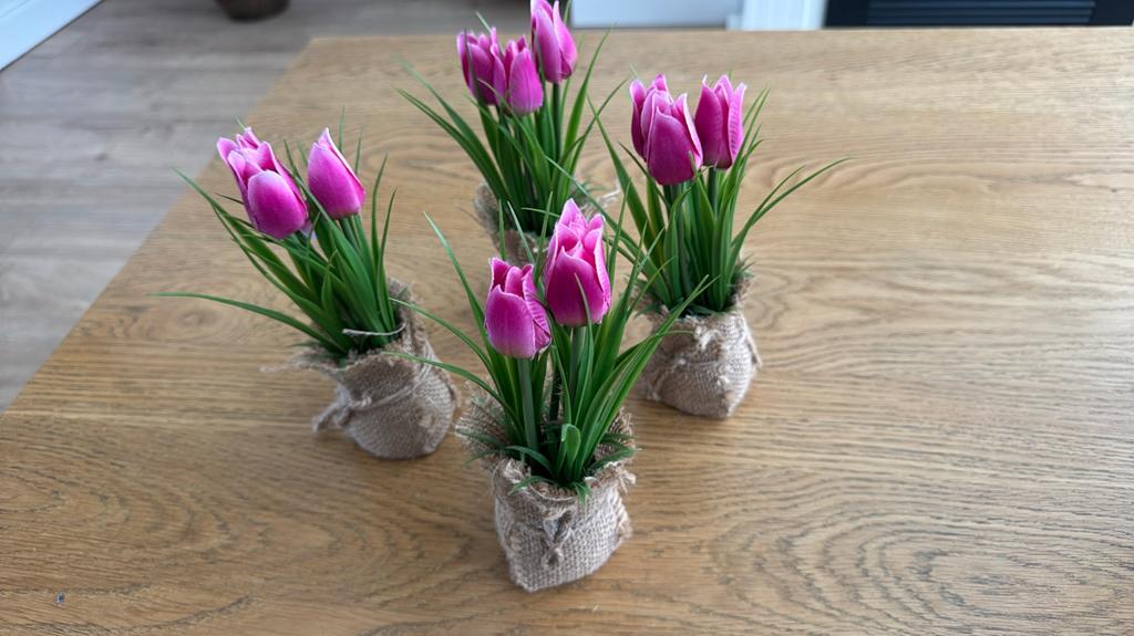 Tulpen kunst, Ophalen, Zo goed als nieuw