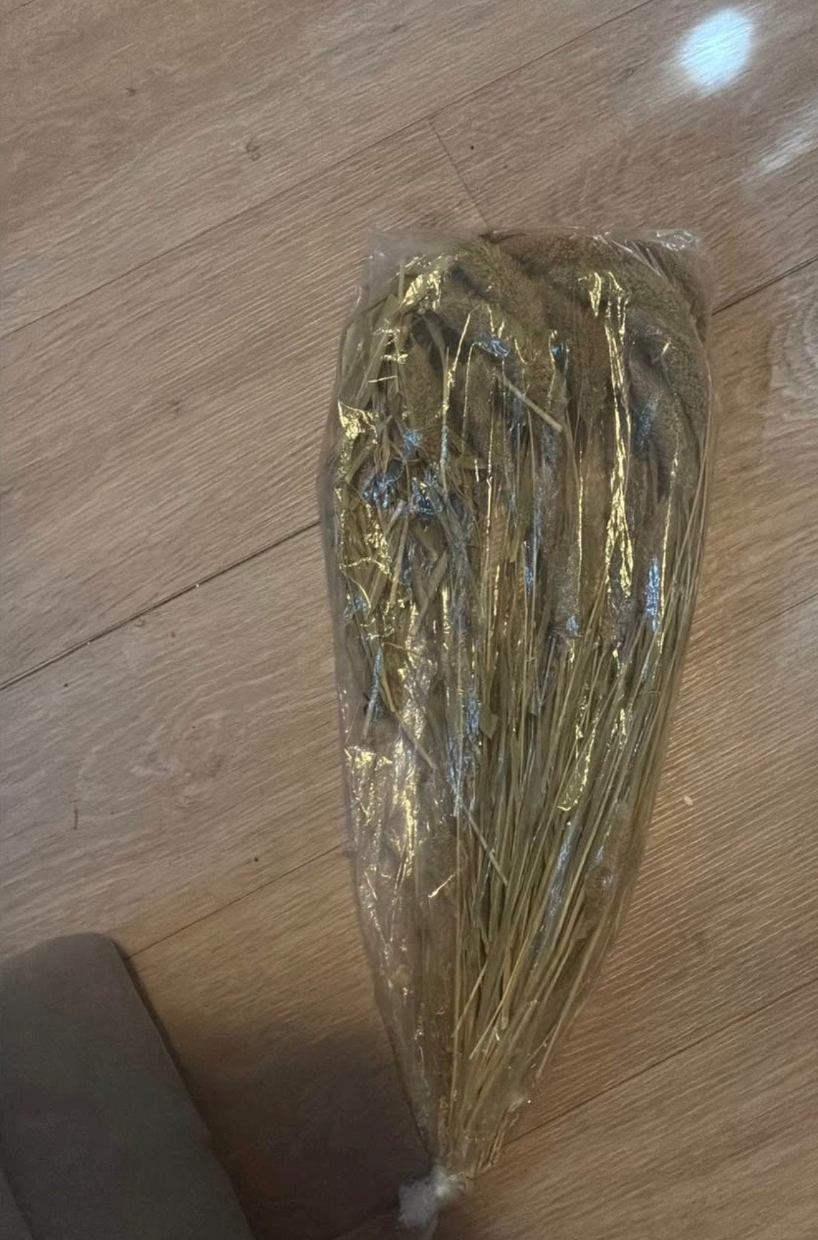 Hamster spullen, Ophalen, Nieuw, Knaagmateriaal