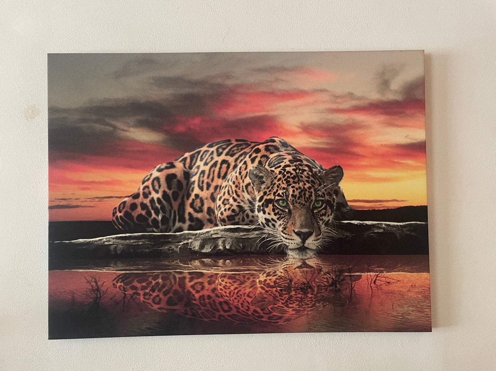 Canvas!!, Ophalen