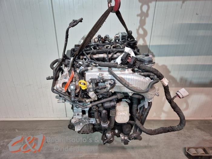 Motor van een Ford Transit Connect, Auto-onderdelen, Motor en Toebehoren, Gebruikt, -, -, Ophalen of Verzenden