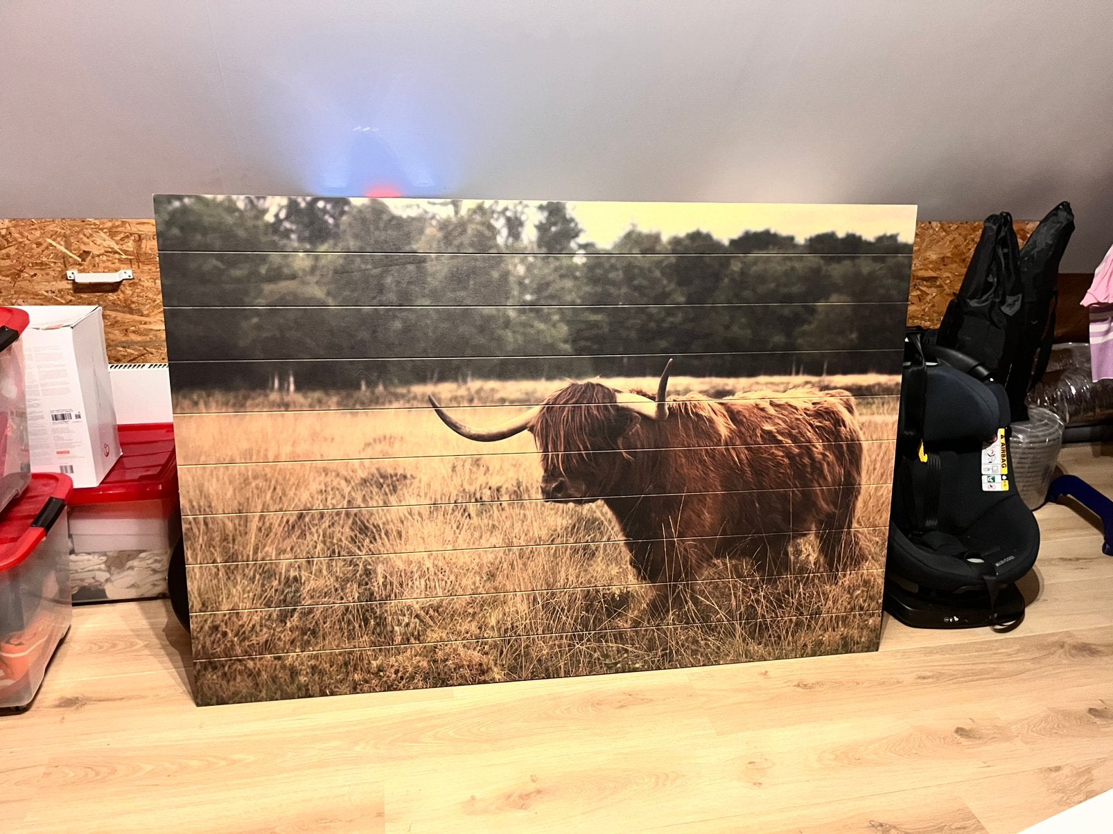 Wanddecoratie met Schotse Hooglander, Ophalen, Eigen ontwerp, Hout, Meerkleurig