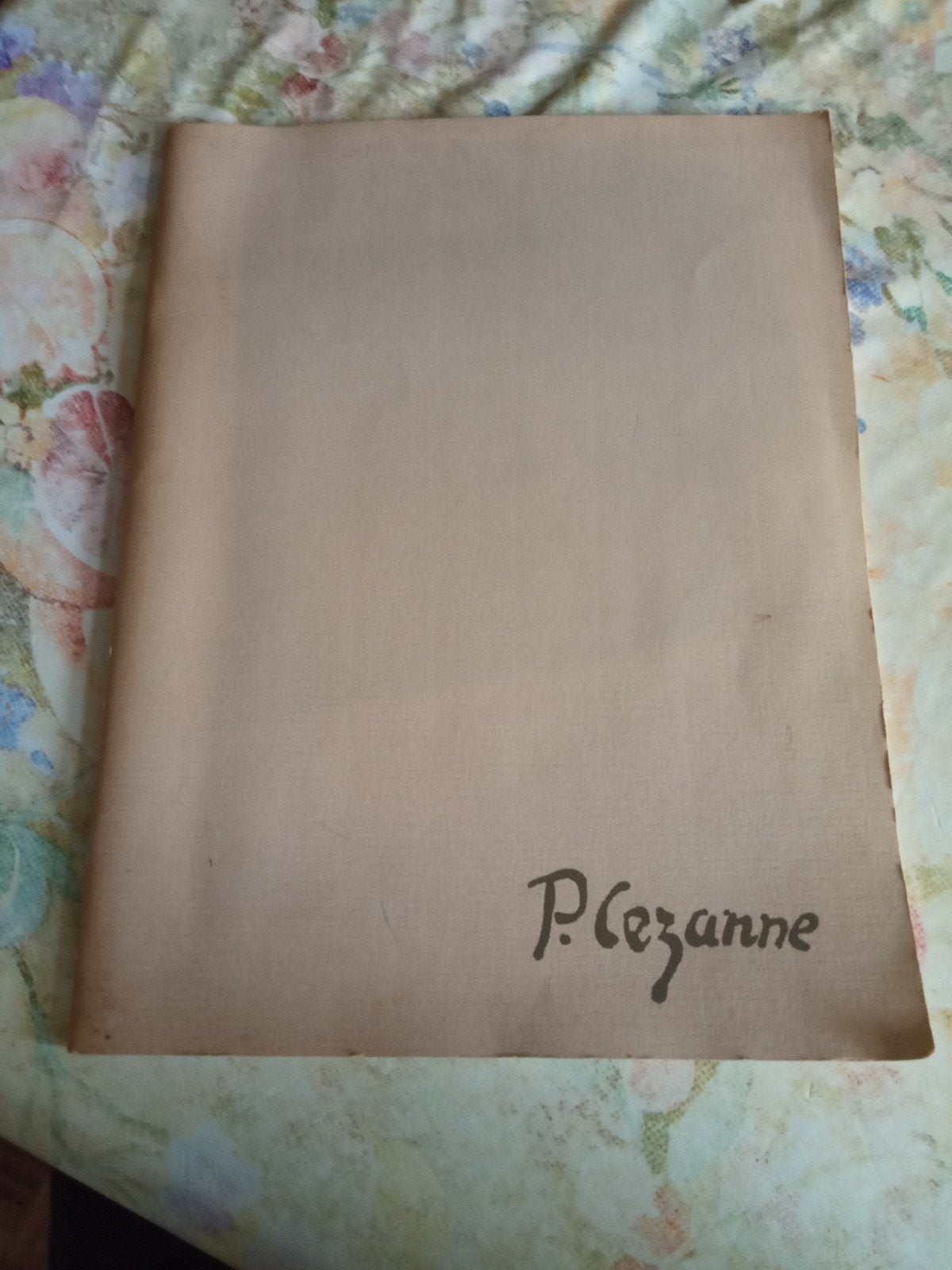 Kunstmap Paul Cezanne relatiegeschenk Philips, Ophalen of Verzenden