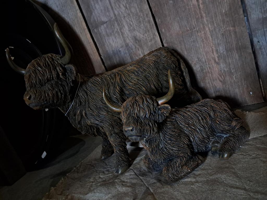 Prachtige hooglanders binnen!  

Staand:
• 29x10x24,5cm, Verzamelen, Beelden en Beeldjes, Ophalen of Verzenden, Nieuw, Dier