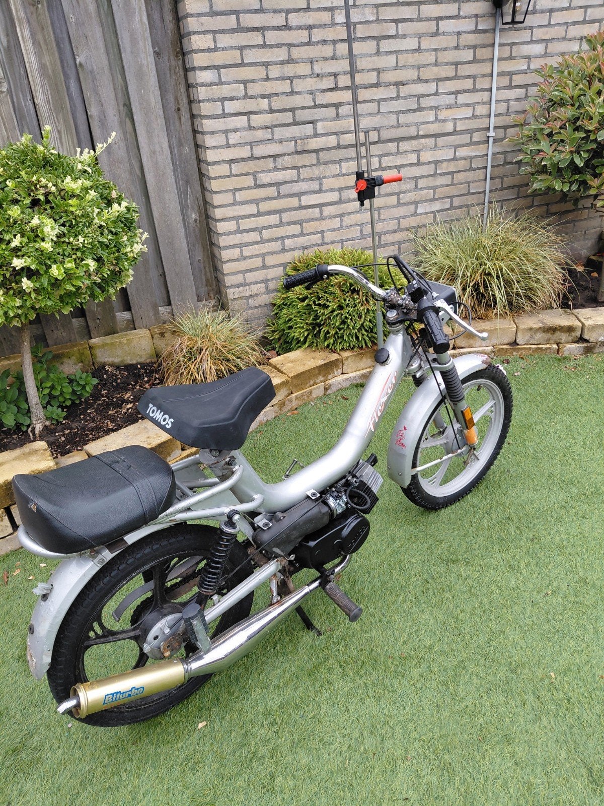 Tomos Flexer!! Zonder kenteken.opknapper of onderdelen., Ophalen, Gebruikt, Flexer