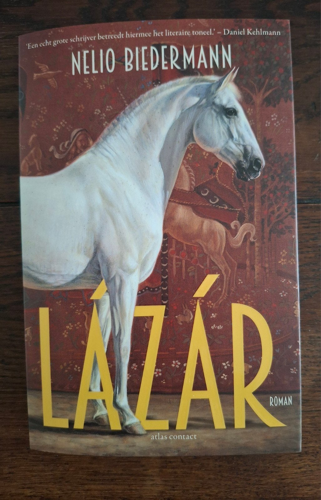 Lázár - Nelio Biedermann (Roman), Boeken, Ophalen of Verzenden, Zo goed als nieuw, Nelio Biedermann, Europa overig