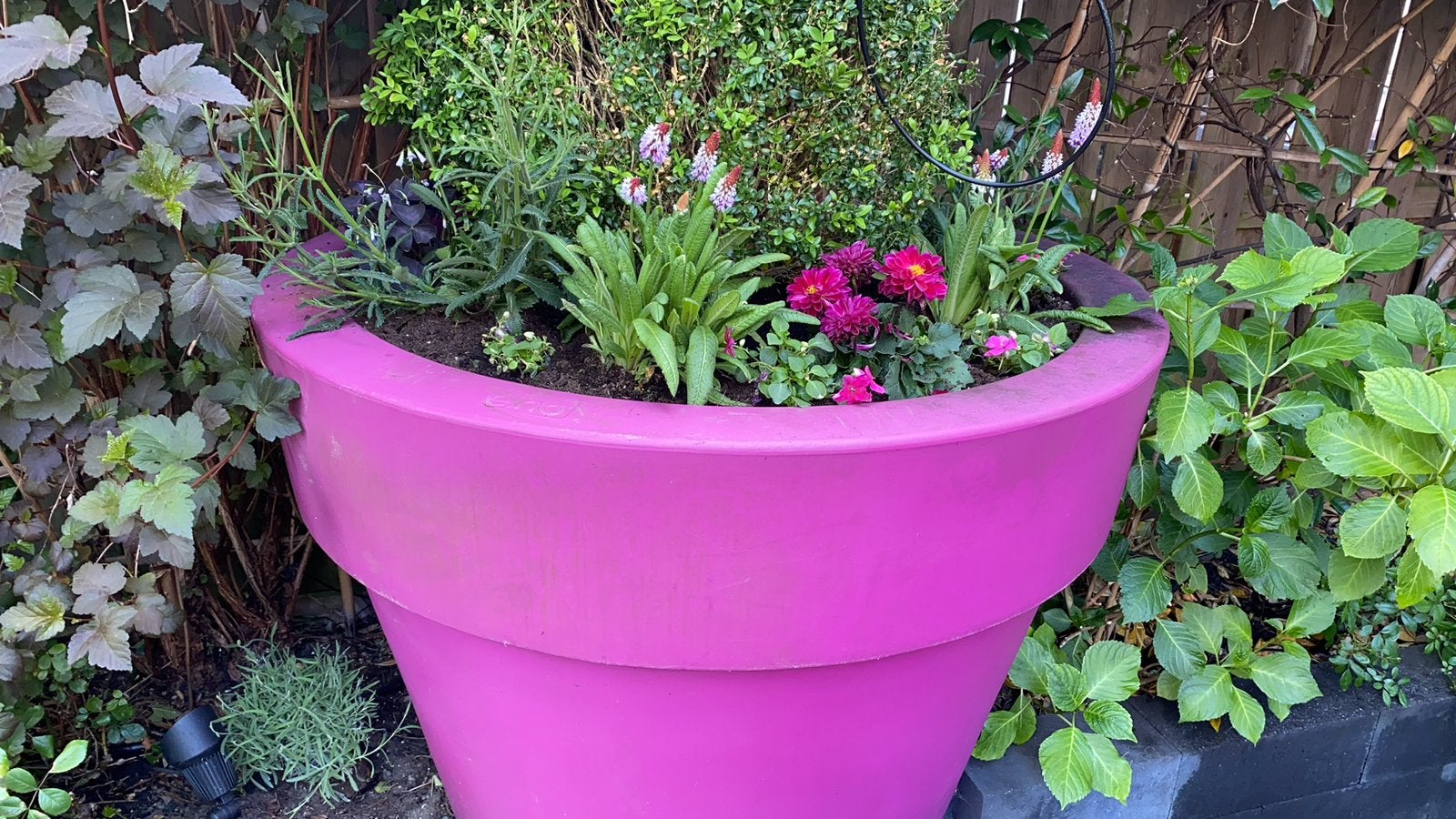Elho XXL Design plantenpot – Fuchsia – 107 cm hoog, Ophalen, Kunststof, Gebruikt, Rond