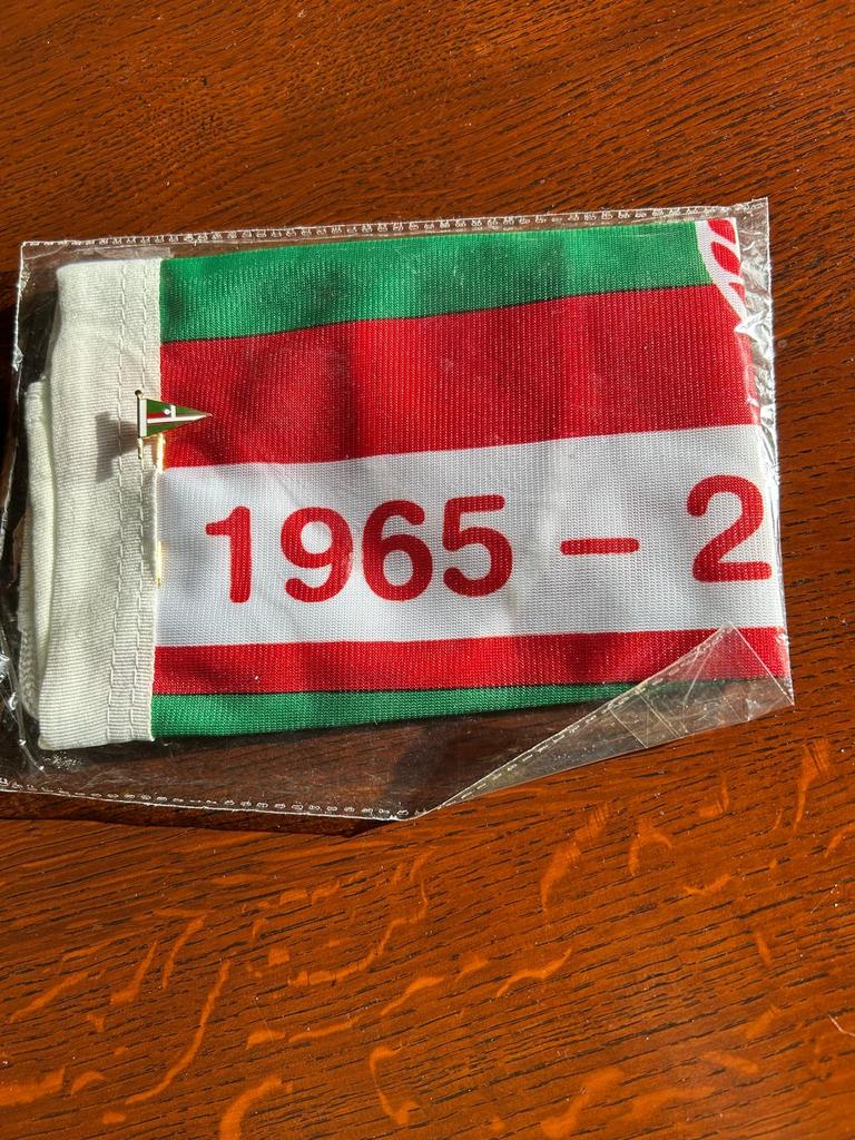 Doeshaven vlag en speldje, Ophalen of Verzenden, Nieuw