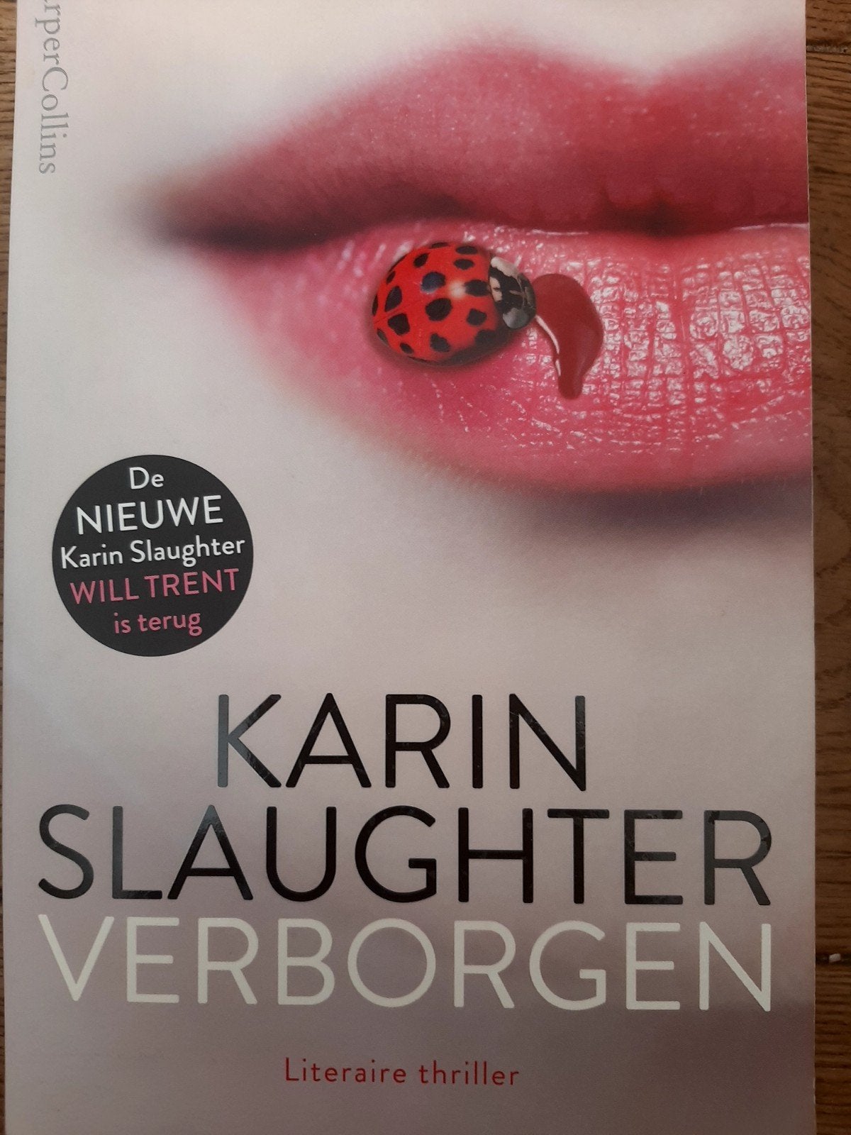 Karin Slaughter - Verborgen (Literaire thriller), Ophalen of Verzenden, Zo goed als nieuw, Karin Slaughter, Nederland