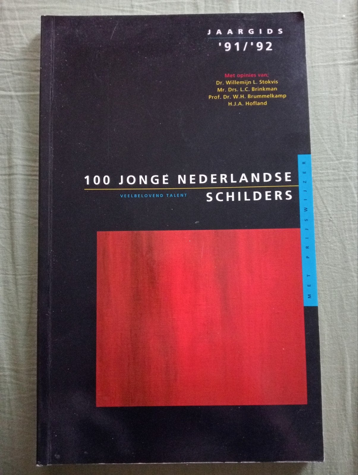 100 Jonge Nederlandse Schilders - Jaargids '91/'92, Ophalen of Verzenden