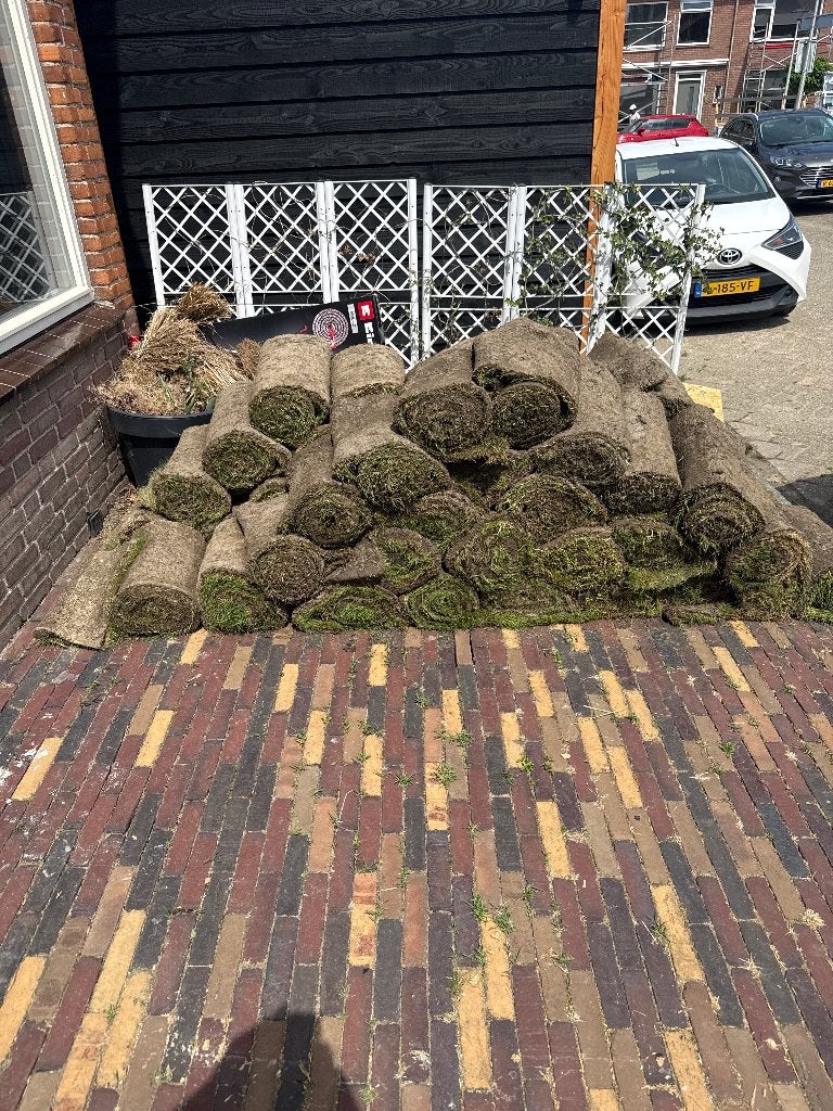 Graszoden grasmatten 50m2, Ophalen, Nieuw, 20 m² of meer, Gras