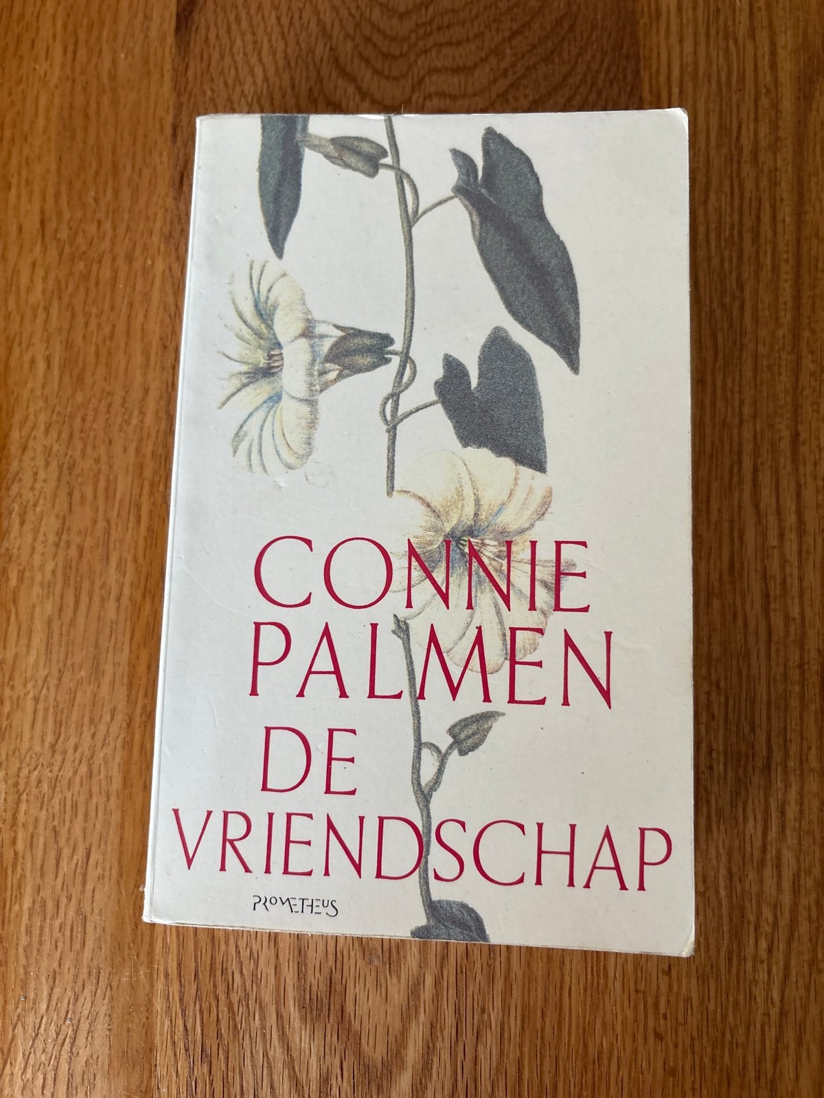 Connie Palmen - De Vriendschap (Boek), Boeken, Ophalen of Verzenden, Gelezen, Nederland