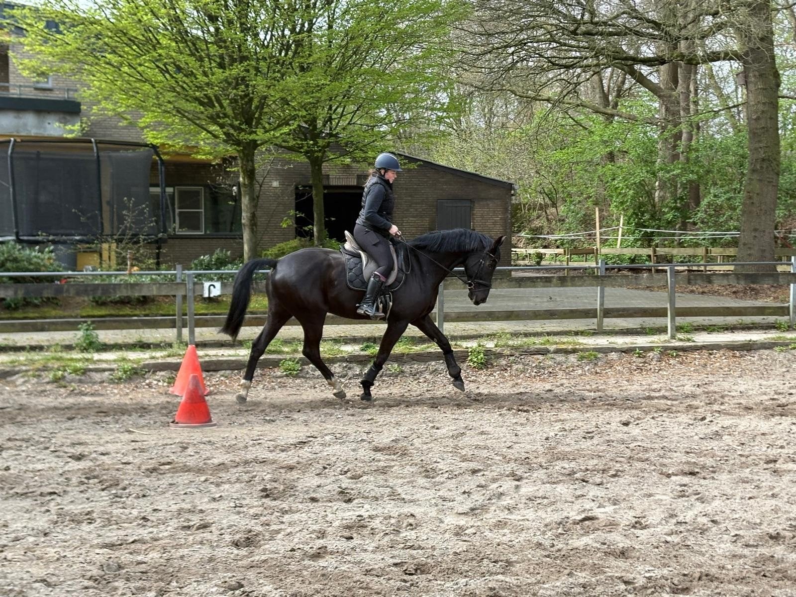 Leaser gezocht, Diensten en Vakmensen, Dieren | Paarden | Verzorging, Oppas en Les