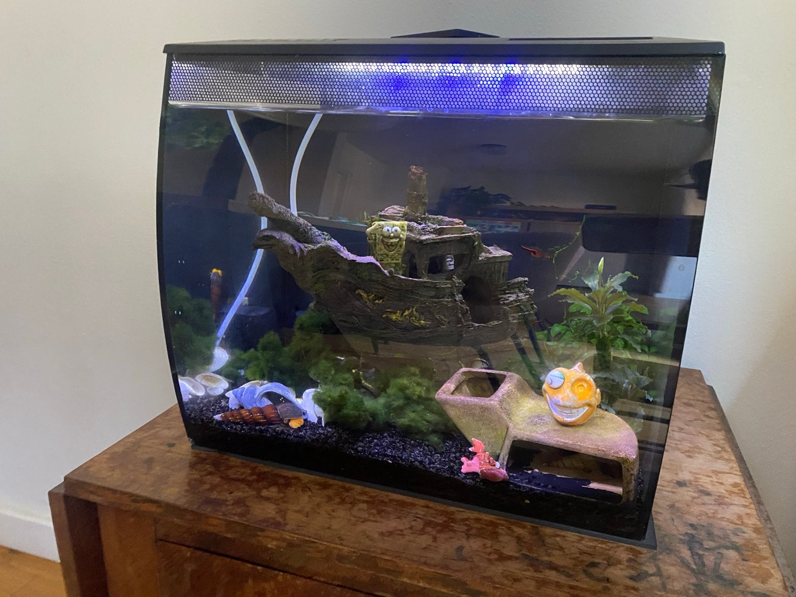 Aquarium fluval 30 aangeboden - 34 liter, Dieren en Toebehoren, Ophalen, Gevuld zoetwateraquarium