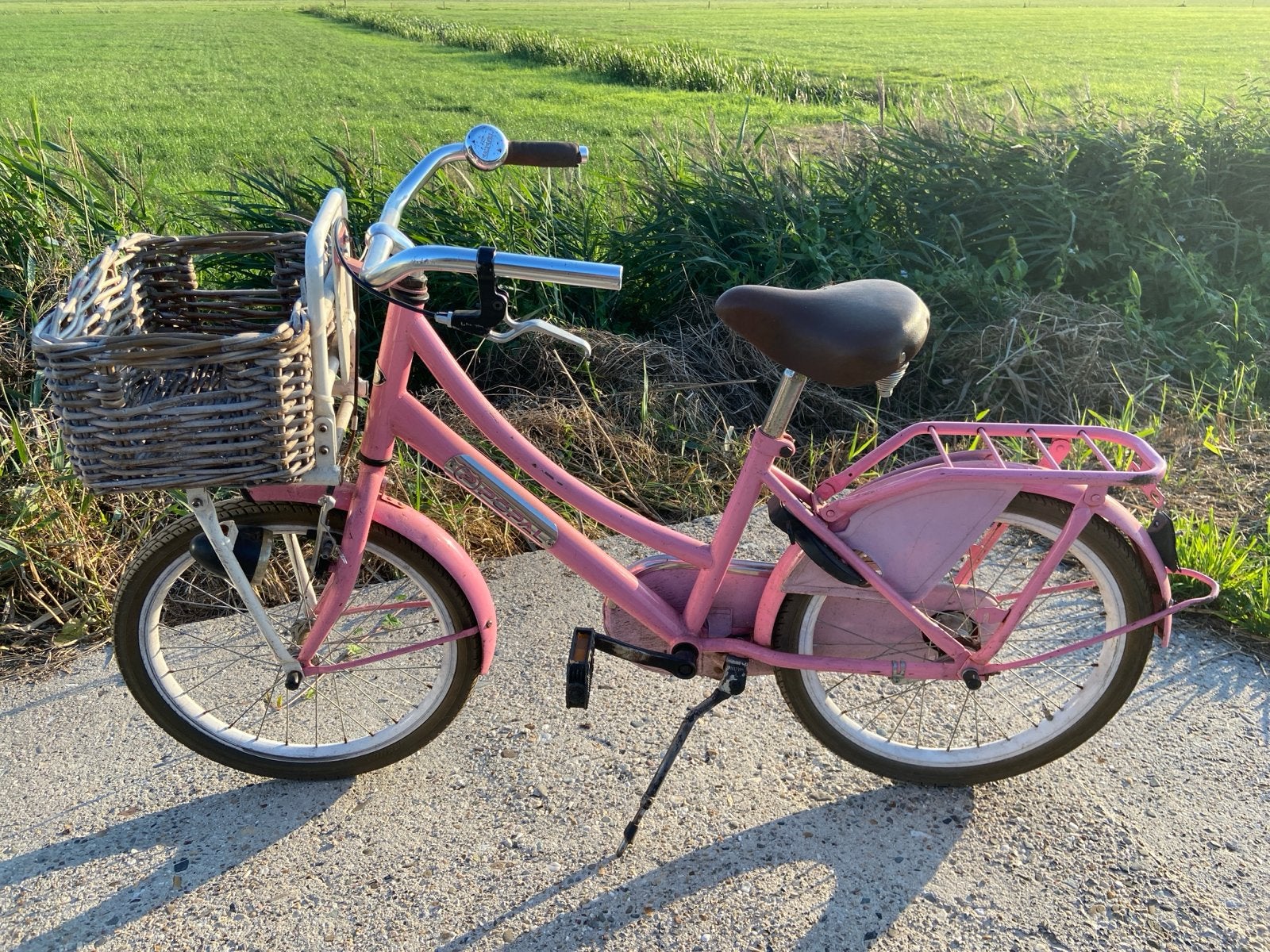 Roze kinderfiets met mandje en bagagedrager, Ophalen, Gebruikt, Velgrem, 20 inch of meer