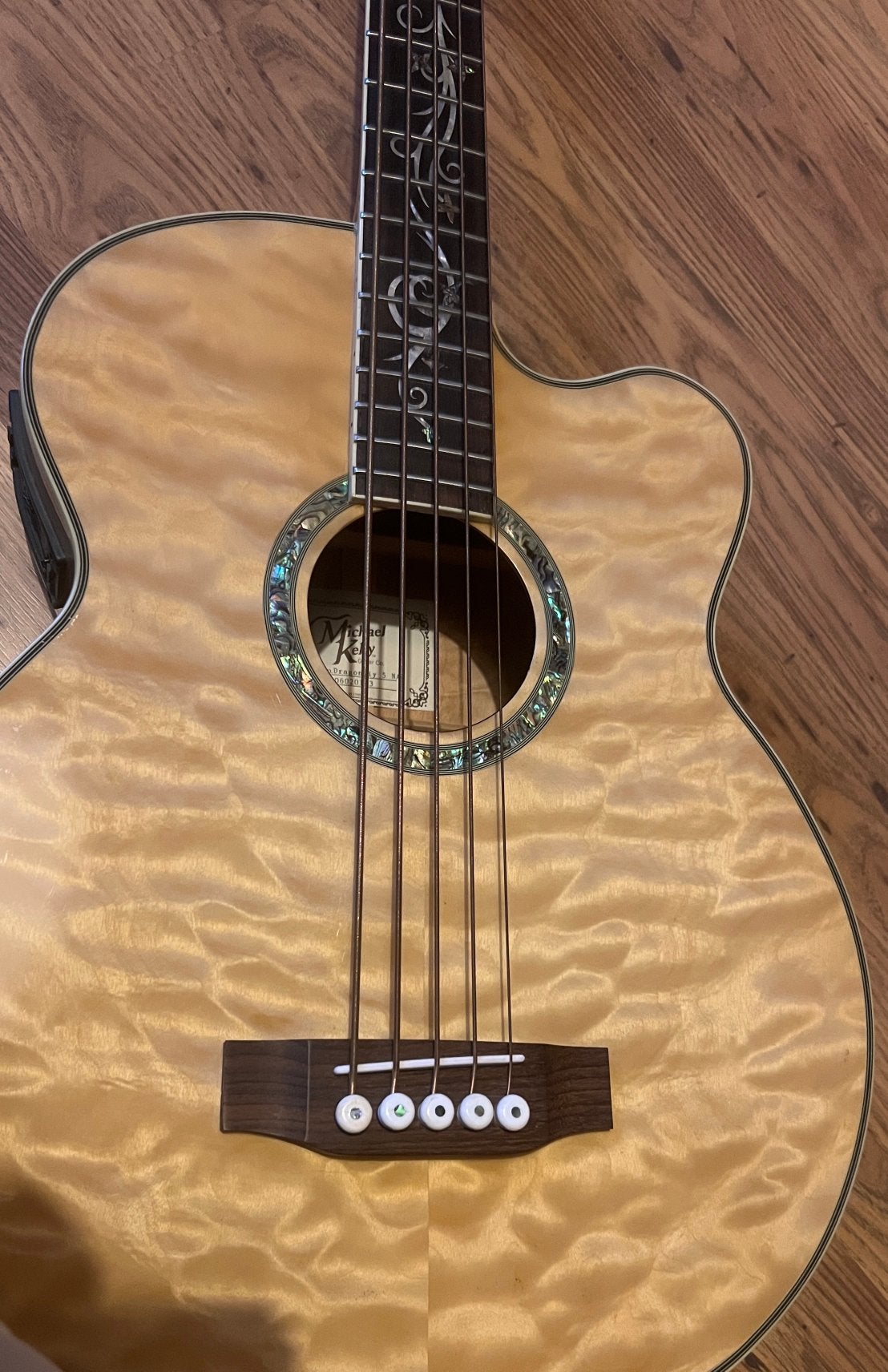 Michael Kelly Dragonfly akoestische 5-string basgitaar, Ophalen of Verzenden, Gebruikt, Semi-akoestisch, 5-snarig