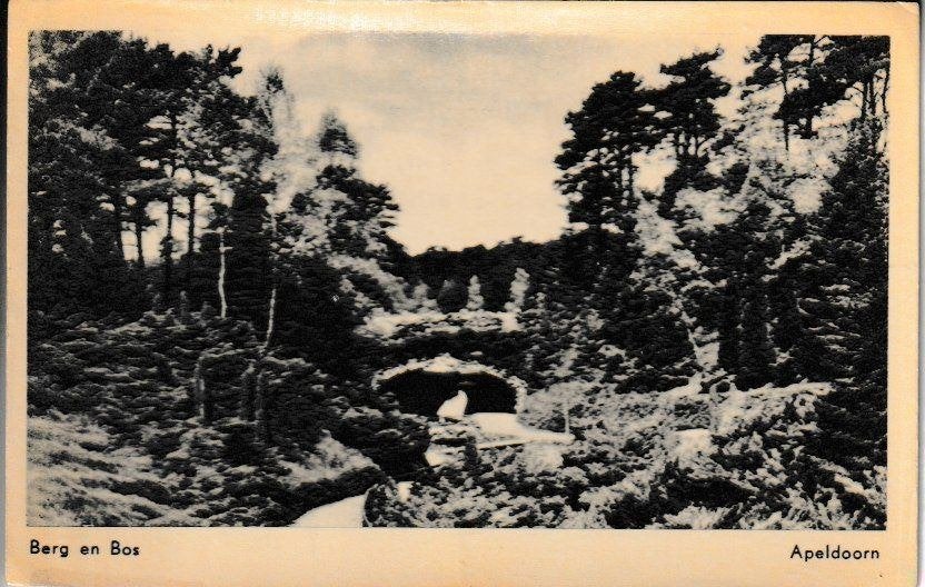 APELDOORN - BERG en BOS - 1957, Ophalen of Verzenden, 1940 tot 1960, Gelopen, Gelderland