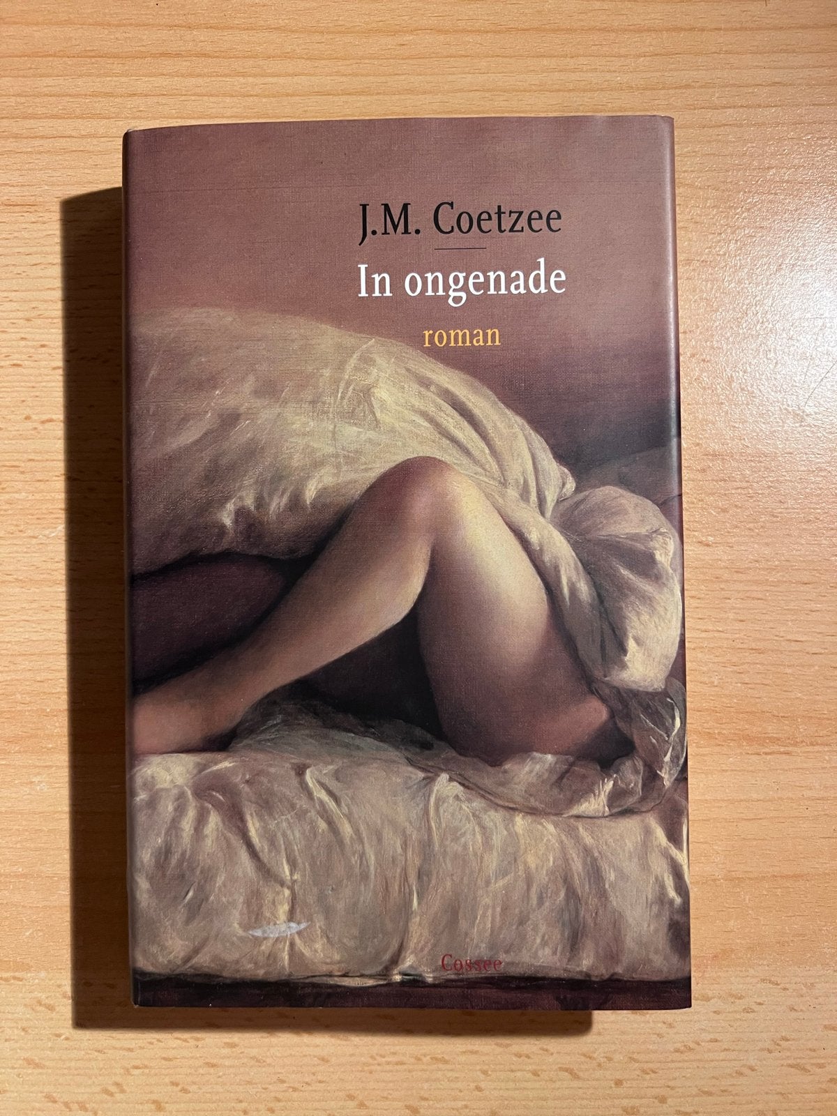 J.M. Coetzee - In ongenade (roman) - Nieuwstaat, Boeken, Ophalen of Verzenden, Nieuw, Wereld overig