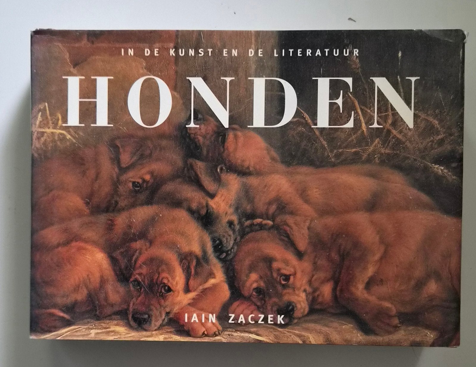 Honden in de kunst en literatuur - Iain Zaczek, Ophalen of Verzenden, Zo goed als nieuw, Honden, Iain Zaczek