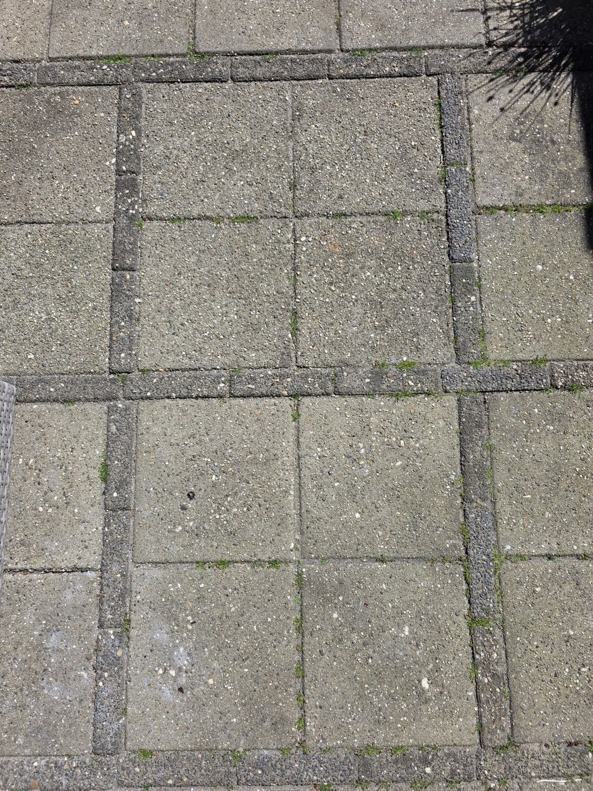Tuintegels, Tuin en Terras, Tegels en Klinkers, Ophalen, Gebruikt, Beton, Terrastegels
