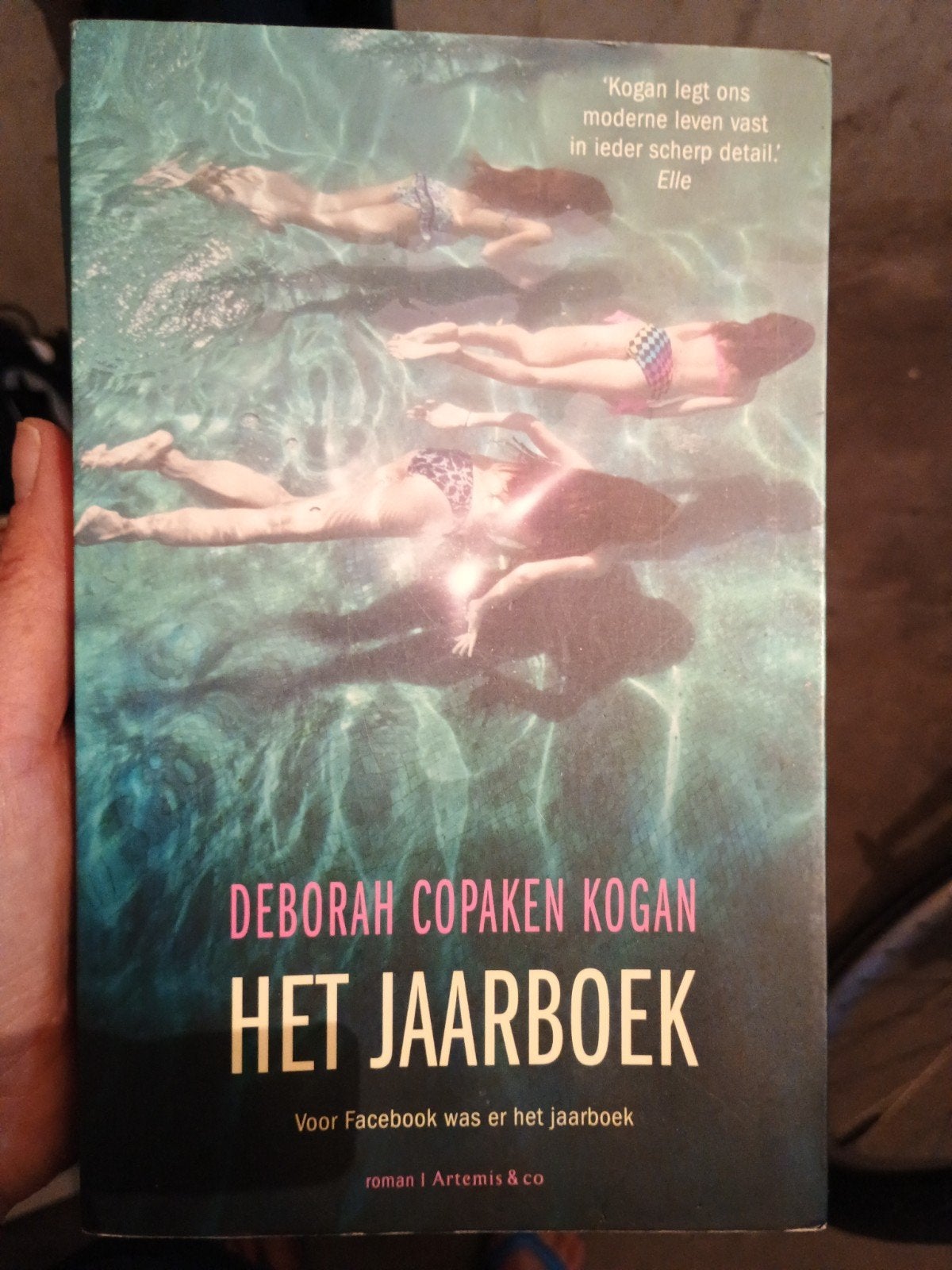 Deborah Copaken Kogan - Het jaarboek, Ophalen of Verzenden, Zo goed als nieuw, Deborah Copaken Kogan