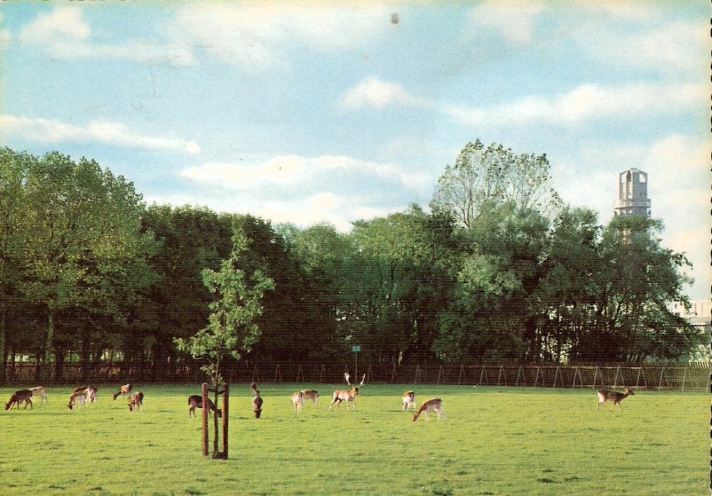 Alphen aan de Rijn       263a, Ophalen of Verzenden, Voor 1920, Zuid-Holland