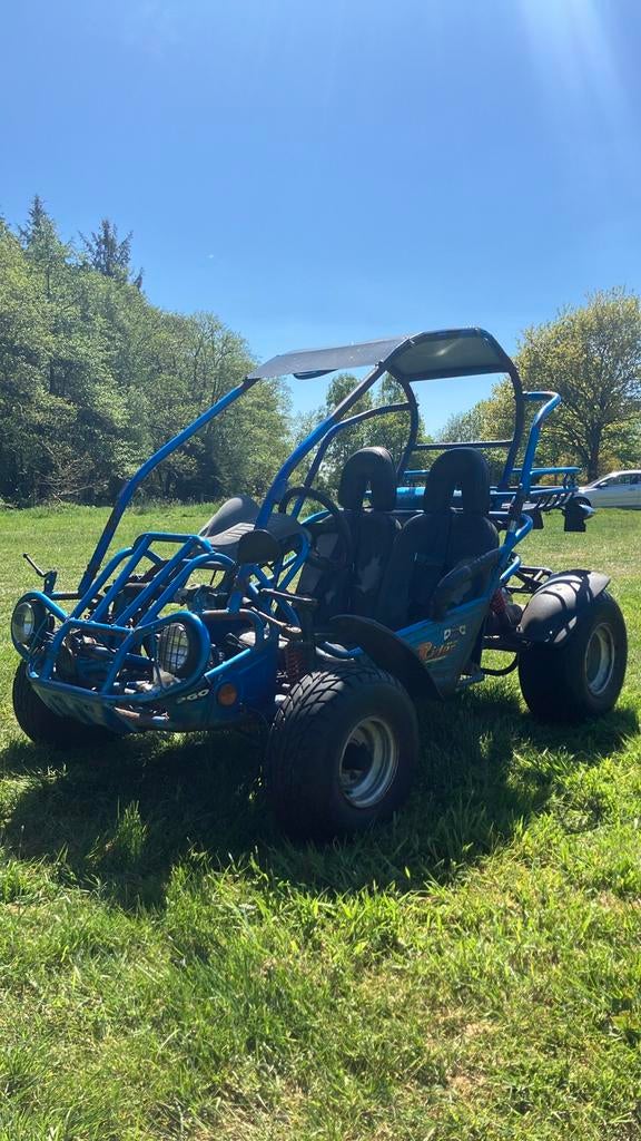 PGO Buggy - 125 cc geen kenteken, Ophalen, Gebruikt, Motor