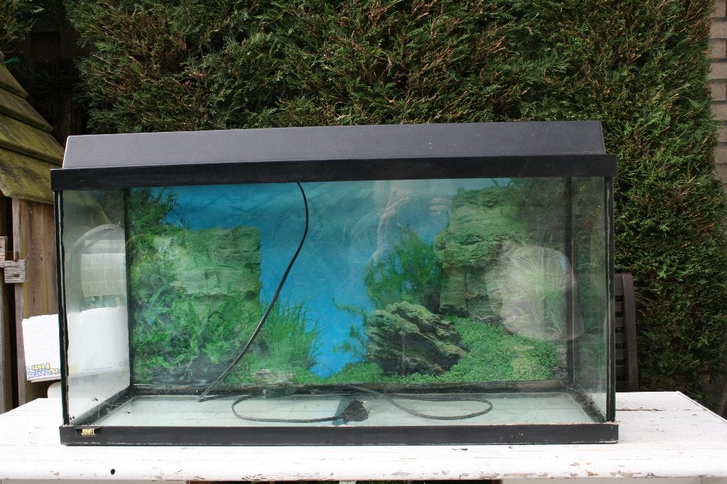 Juwel Aquarium 80 cm, Dieren en Toebehoren, Vissen | Aquaria en Toebehoren, Ophalen, Gebruikt, Leeg aquarium, Inclusief deksel