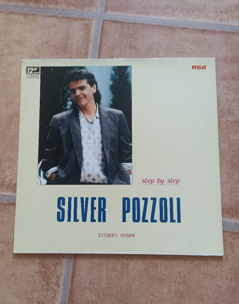 12'' Silver Pozzoli - Step by step, Ophalen of Verzenden, Gebruikt, 12 inch