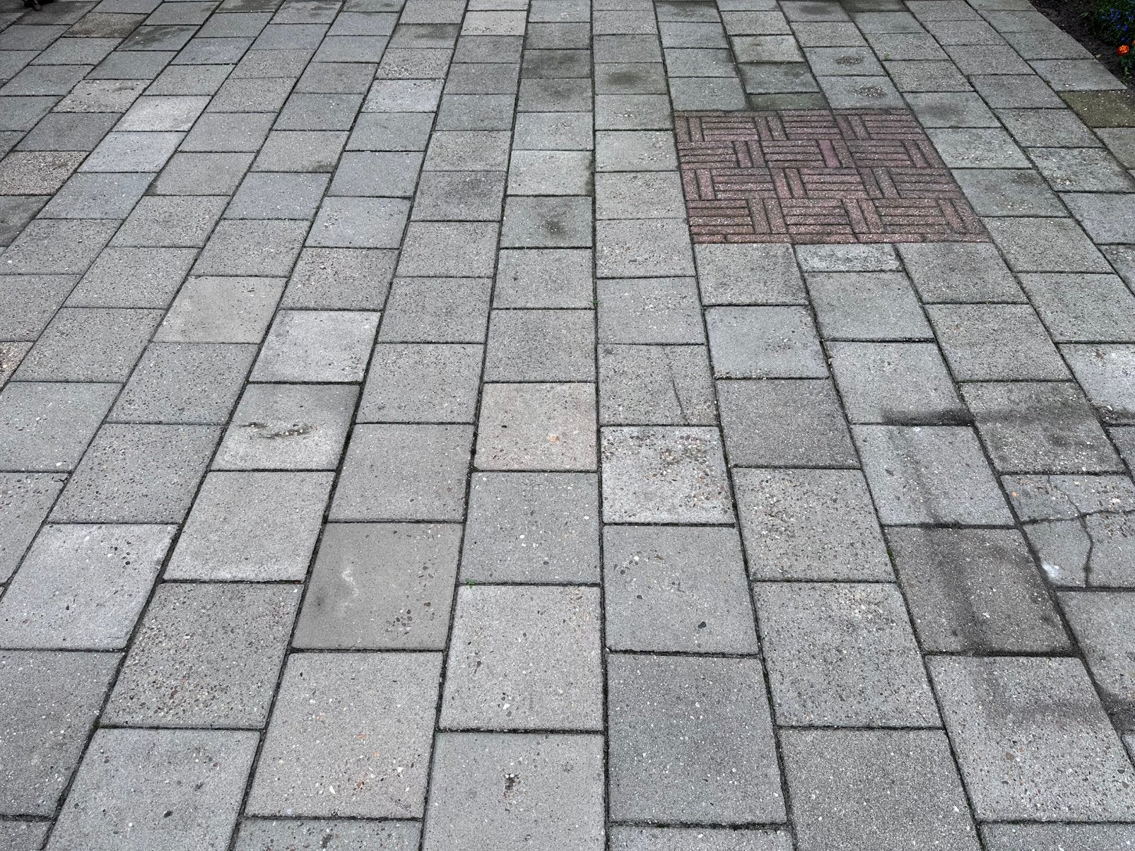 30 bij 30 tegels Gratis! 200-250 stuks, Ophalen, Zo goed als nieuw, Beton, Terrastegels